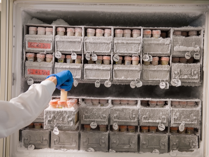 Photo of biospecimen in a freezer