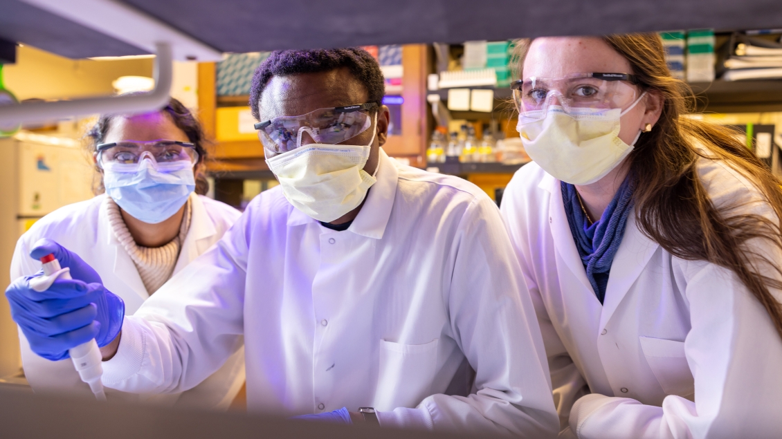 Microbiology & Immunology Education University of Michigan Medical School