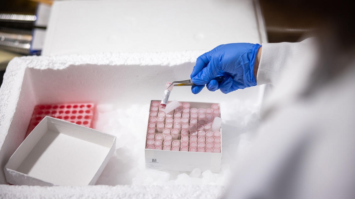 Photo of biospecimen being pulled from storage