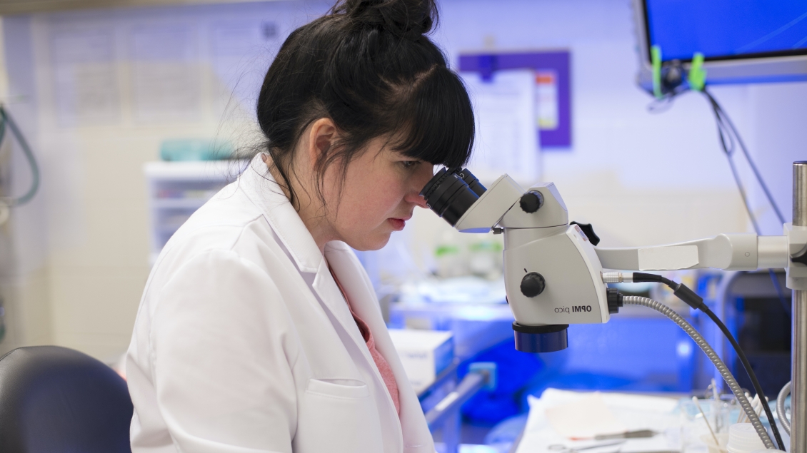 Obi Lab Research University of Michigan Medical School Research