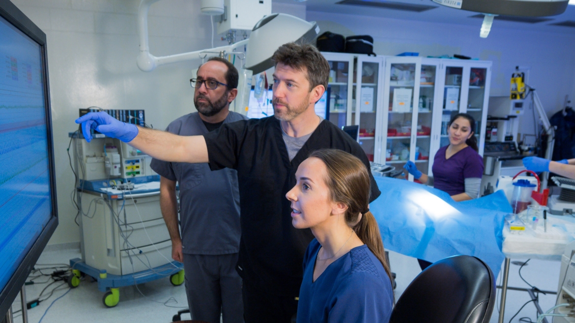 interior of the Weil Institute Preclinical Critical Care Lab