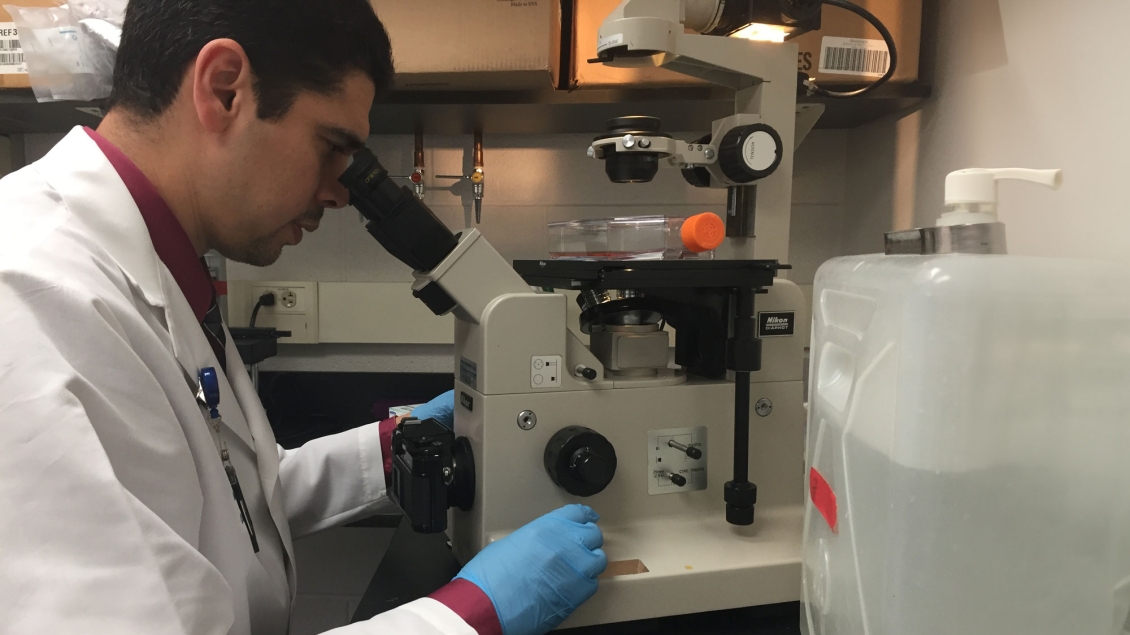 Scientist looking through a microscope in their lab