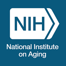 National Institute on Aging logo