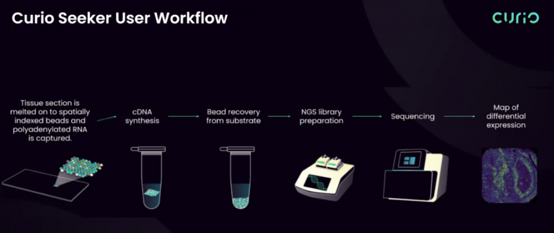 flow chart of Curio Seeker User Workflow