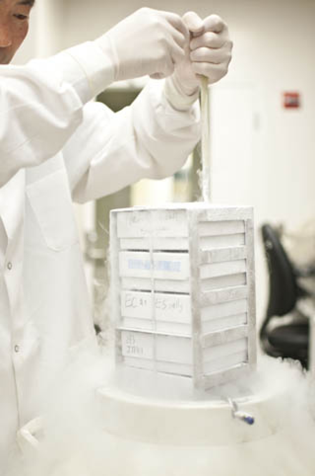 Lab equipment being pulled from liquid nitrogen