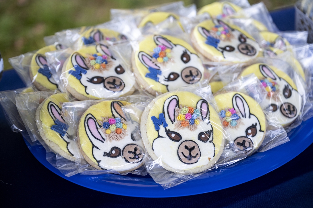 close-up of customized cookie designs